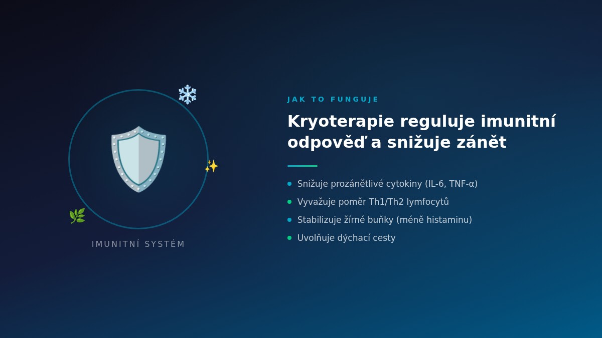 Kryoterapie a podpora imunitního systému při alergiích