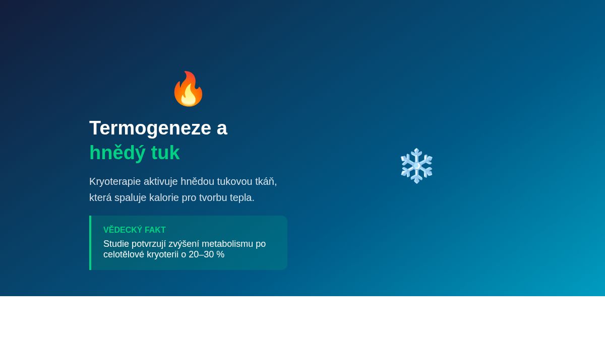 Termogeneze a hnědý tuk – jak kryoterapie spaluje kalorie