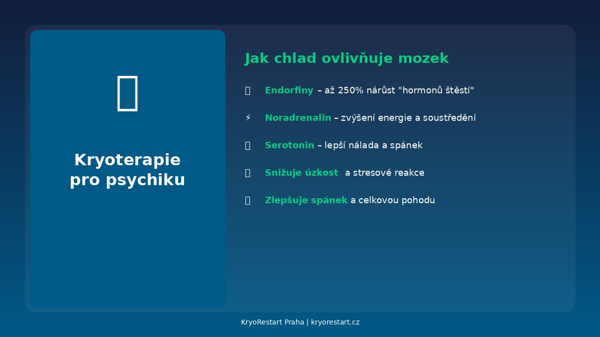 Infografika: Jak kryoterapie ovlivňuje mozek – endorfiny, noradrenalin, serotonin