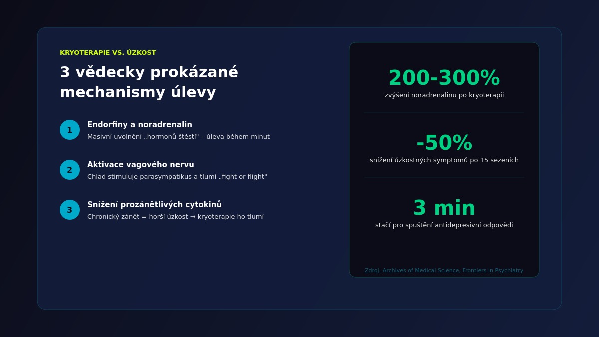 Infografika: 3 vědecky prokázané mechanismy, jak kryoterapie pomáhá při úzkosti
