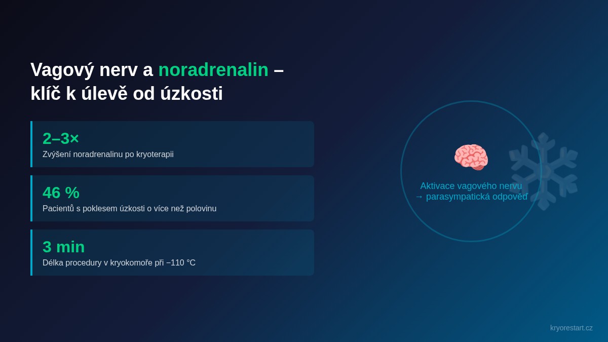 Kryoterapie a úzkost – vliv na vagový nerv a noradrenalin, statistiky účinnosti